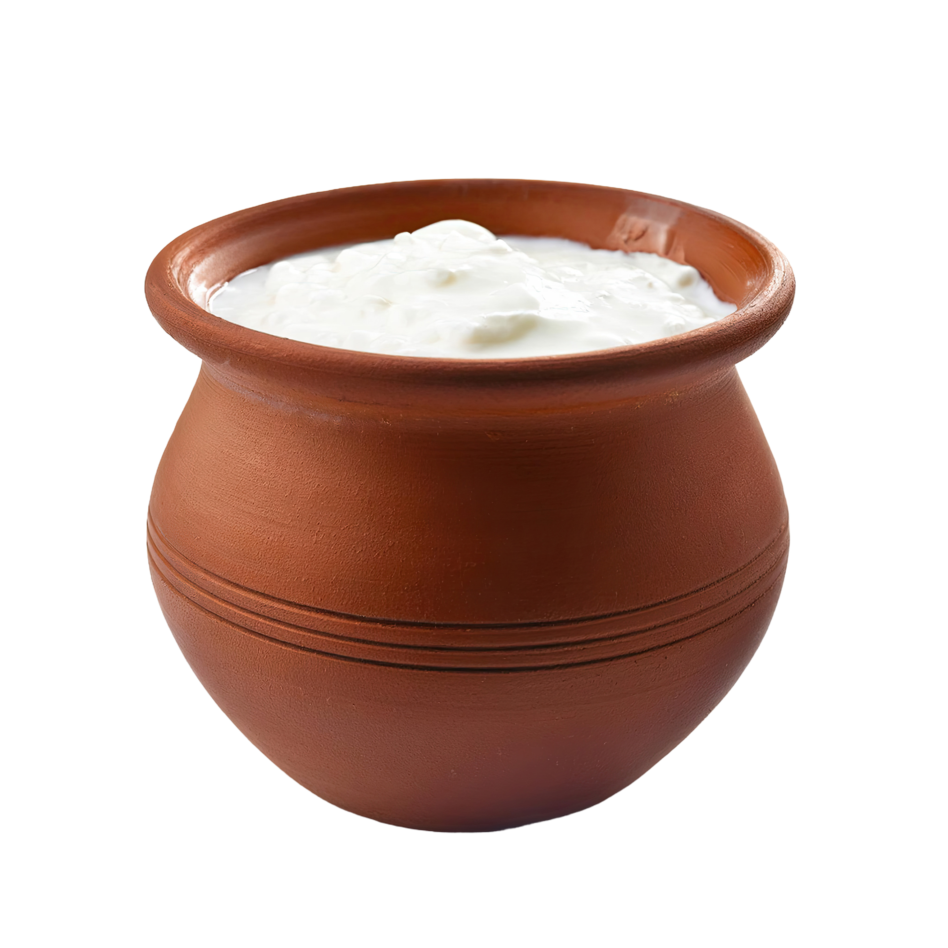 Buffalo pot Curd