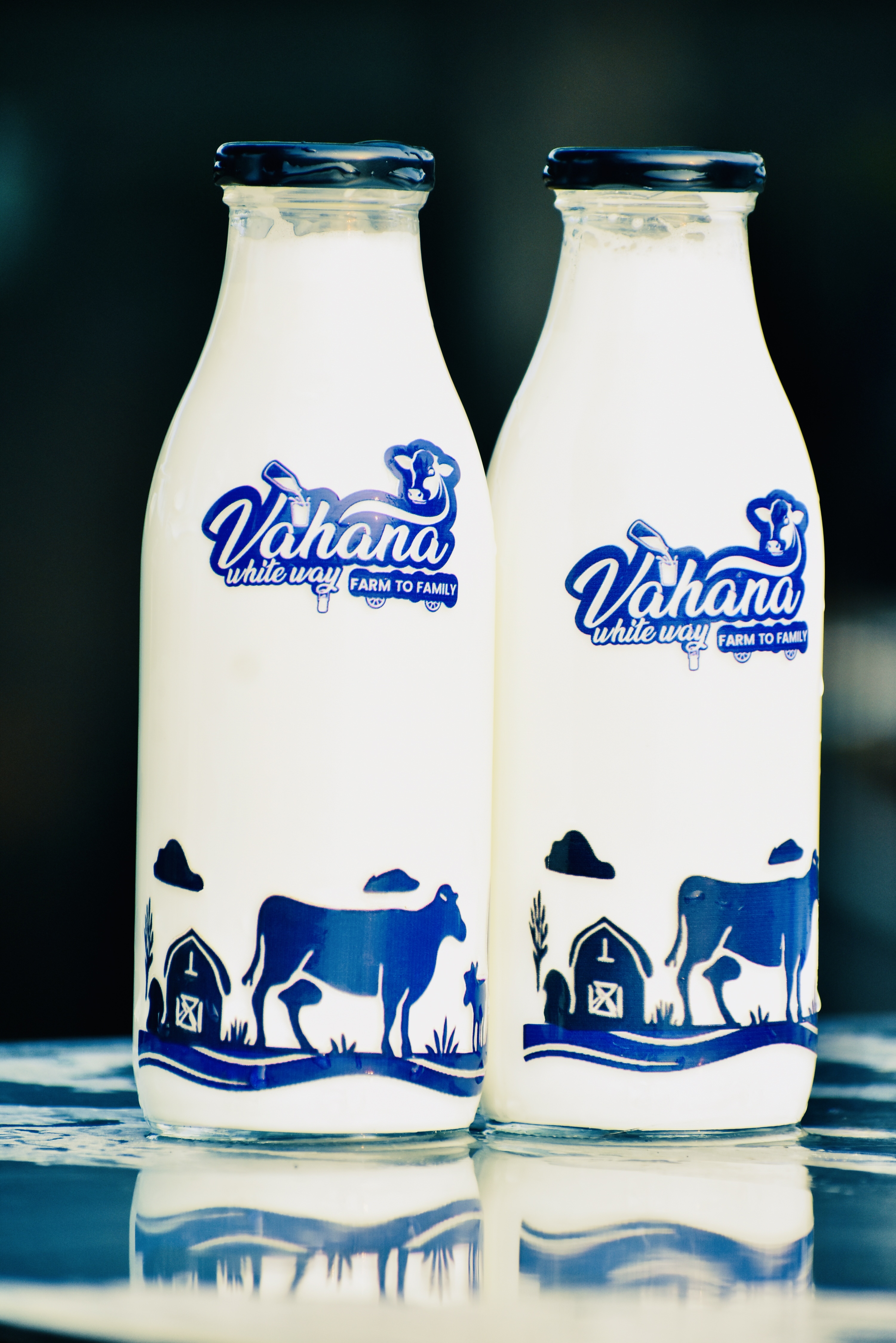 Cow Milk